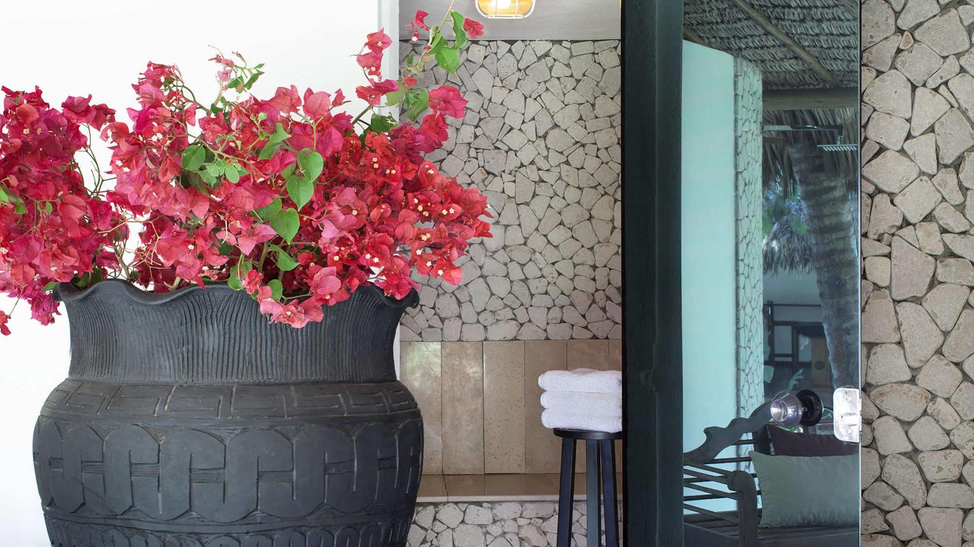 Essenza Hotel Jijoca de Jericoacoara Zewnętrze zdjęcie